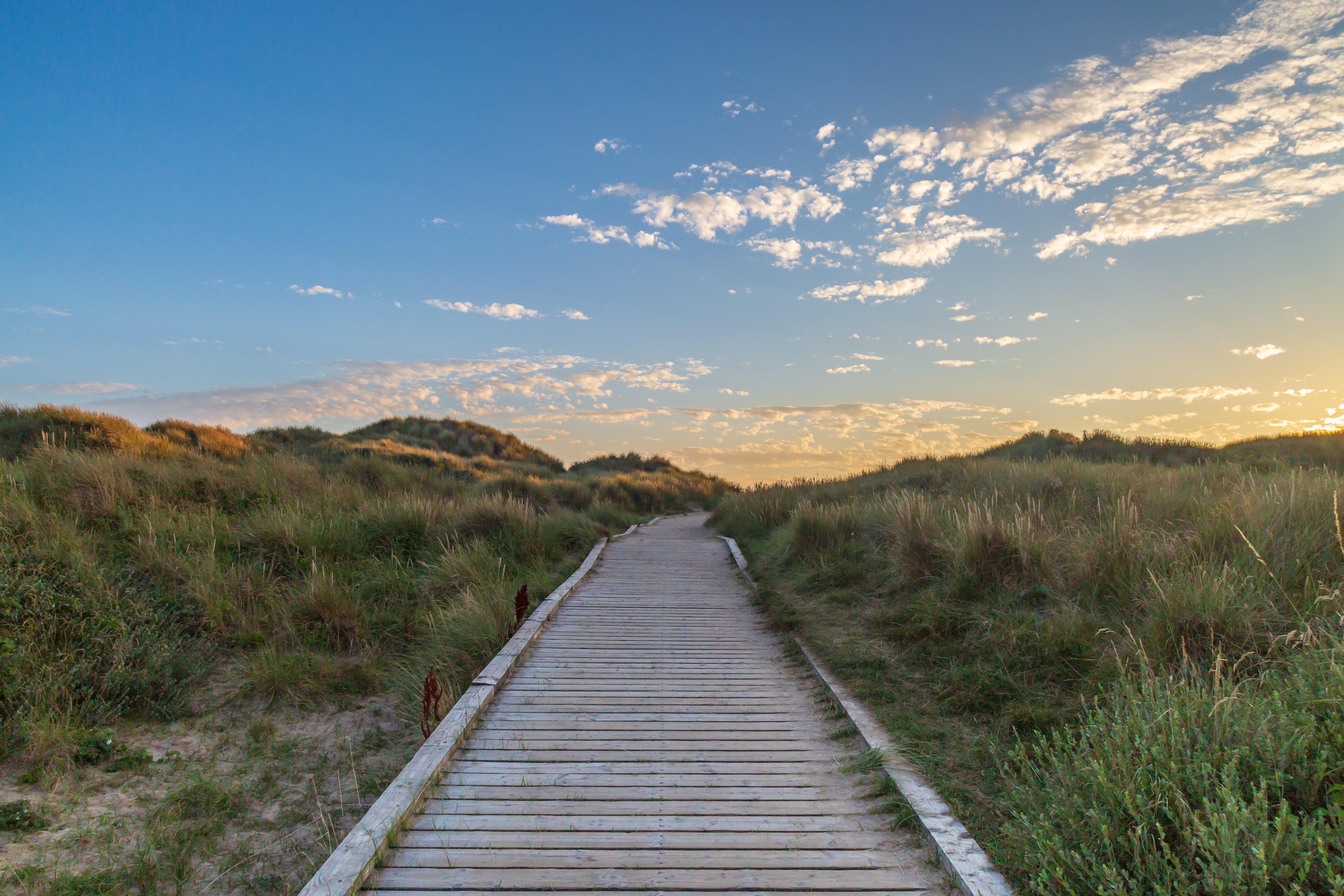 Boardwalk