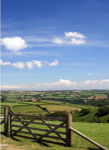 Gatepost and countryside