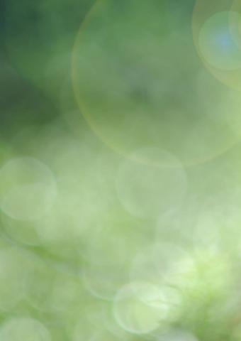 Abstract image close up of green vegetation